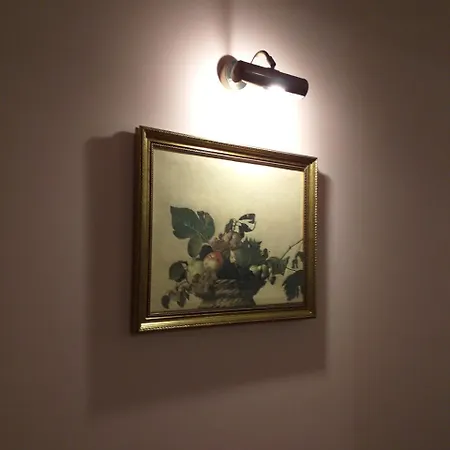 Bolonja 1 *