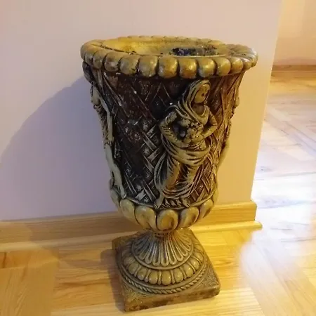 Bolonja 1 *